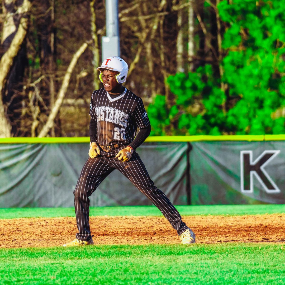 Willie_Prince_Kennesaw_Mountain_baseball.49